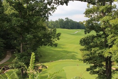 4.47 Ac in the prestige secured gated community of Mountain on Riverwatch Golf Club in Tennessee - for sale on GolfHomes.com, golf home, golf lot