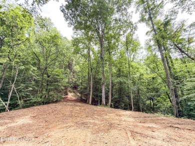 Tucked away in a peaceful setting, Lot 1A  in Forest Creek on Oak Ridge Country Club in Tennessee - for sale on GolfHomes.com, golf home, golf lot