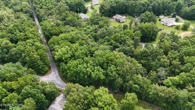 Looking for extra space to build or invest? These two on Lake Tansi Village Country Club in Tennessee - for sale on GolfHomes.com, golf home, golf lot