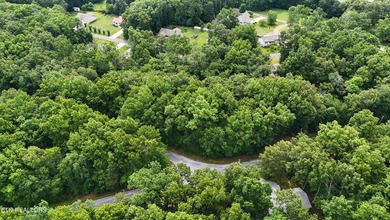 Looking for extra space to build or invest? These two on Lake Tansi Village Country Club in Tennessee - for sale on GolfHomes.com, golf home, golf lot