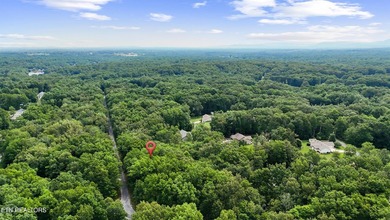 Looking for extra space to build or invest? These two on Lake Tansi Village Country Club in Tennessee - for sale on GolfHomes.com, golf home, golf lot