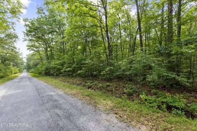 Looking for extra space to build or invest? These two on Lake Tansi Village Country Club in Tennessee - for sale on GolfHomes.com, golf home, golf lot