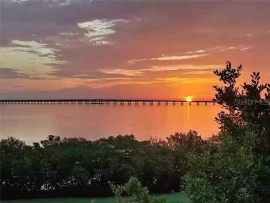 Welcome to your move-in-ready, FULLY FURNISHED dream home in a on Cove Cay Country Club in Florida - for sale on GolfHomes.com, golf home, golf lot