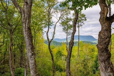 One of the last view lots available for your mountain home on Cullasaja Club in North Carolina - for sale on GolfHomes.com, golf home, golf lot