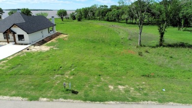 IMMERSE YOURSELF IN THE UNPARALLELED BEAUTY OF CEDAR CREEK LAKE on Cedar Creek Country Club in Texas - for sale on GolfHomes.com, golf home, golf lot
