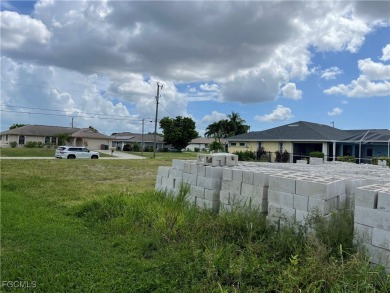 NEW SEAWALL IN! ALL ASSESSMENTS IN AND PAID! NOT IN A FLOOD on Royal Tee Country Club in Florida - for sale on GolfHomes.com, golf home, golf lot