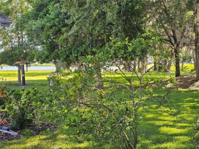Welcome Home! This lovely private residence features two on Plantation Golf Club in Florida - for sale on GolfHomes.com, golf home, golf lot