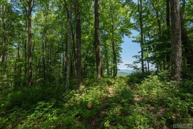 Bring your plans because this lot is ready for your new home! on Natures Walk At Chinquapin in North Carolina - for sale on GolfHomes.com, golf home, golf lot