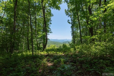 Bring your plans because this lot is ready for your new home! on Natures Walk At Chinquapin in North Carolina - for sale on GolfHomes.com, golf home, golf lot