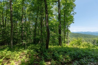 Bring your plans because this lot is ready for your new home! on Natures Walk At Chinquapin in North Carolina - for sale on GolfHomes.com, golf home, golf lot