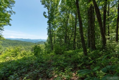 Bring your plans because this lot is ready for your new home! on Natures Walk At Chinquapin in North Carolina - for sale on GolfHomes.com, golf home, golf lot