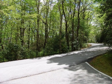 Excellent opportunity for adjoining lots boring hole #11 of Lake on Lake Toxaway Country Club in North Carolina - for sale on GolfHomes.com, golf home, golf lot