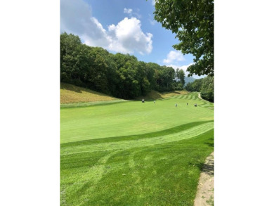 Excellent opportunity for adjoining lots boring hole #11 of Lake on Lake Toxaway Country Club in North Carolina - for sale on GolfHomes.com, golf home, golf lot