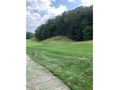 Excellent opportunity for adjoining lots boring hole #11 of Lake on Lake Toxaway Country Club in North Carolina - for sale on GolfHomes.com, golf home, golf lot
