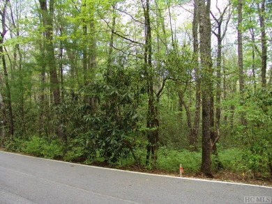 Excellent opportunity for adjoining lots boring hole #11 of Lake on Lake Toxaway Country Club in North Carolina - for sale on GolfHomes.com, golf home, golf lot