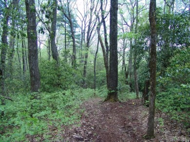 Excellent opportunity for adjoining lots boring hole #11 of Lake on Lake Toxaway Country Club in North Carolina - for sale on GolfHomes.com, golf home, golf lot