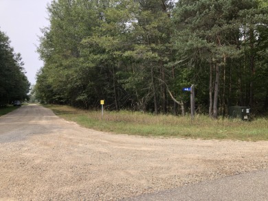 Fantastic wooded lot in the Pines subdivision of Canadian Lakes! for sale on GolfHomes.com