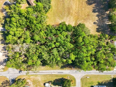 Discover the perfect opportunity to build your dream home on on El Diablo Golf and Country Club in Florida - for sale on GolfHomes.com, golf home, golf lot