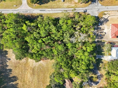 Discover the perfect opportunity to build your dream home on on El Diablo Golf and Country Club in Florida - for sale on GolfHomes.com, golf home, golf lot