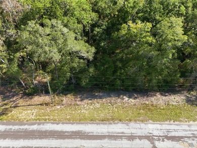 Discover the perfect opportunity to build your dream home on on El Diablo Golf and Country Club in Florida - for sale on GolfHomes.com, golf home, golf lot