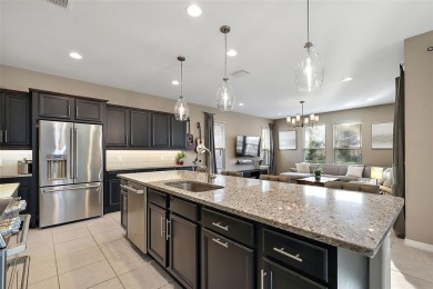 Truly remarkable property, situated in the LUXURY Ocala Preserve on Trilogy at Ocala Preserve in Florida - for sale on GolfHomes.com, golf home, golf lot