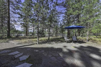 Gorgeous Lakeside Craftsman Retreat! This beautifully built 3BR on Lake Shastina Golf Course in California - for sale on GolfHomes.com, golf home, golf lot