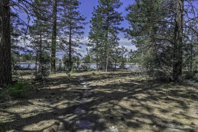 Gorgeous Lakeside Craftsman Retreat! This beautifully built 3BR on Lake Shastina Golf Course in California - for sale on GolfHomes.com, golf home, golf lot