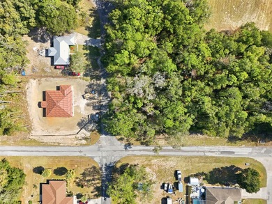 Discover the perfect opportunity to build your dream home on on El Diablo Golf and Country Club in Florida - for sale on GolfHomes.com, golf home, golf lot