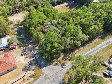 Discover the perfect opportunity to build your dream home on on El Diablo Golf and Country Club in Florida - for sale on GolfHomes.com, golf home, golf lot