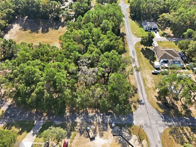 Discover the perfect opportunity to build your dream home on on El Diablo Golf and Country Club in Florida - for sale on GolfHomes.com, golf home, golf lot