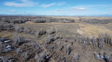 Dee Plucinski, Steffens and Company Realty, Inc, C: , dee,  : on Cattails Golf Club in Colorado - for sale on GolfHomes.com, golf home, golf lot