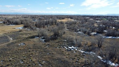 Dee Plucinski, Steffens and Company Realty, Inc, C: , dee,  : on Cattails Golf Club in Colorado - for sale on GolfHomes.com, golf home, golf lot