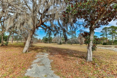 Sugarmill Woods Classic Pool Home for sale on half acre golf on Sugarmill Woods Golf and Country Club in Florida - for sale on GolfHomes.com, golf home, golf lot