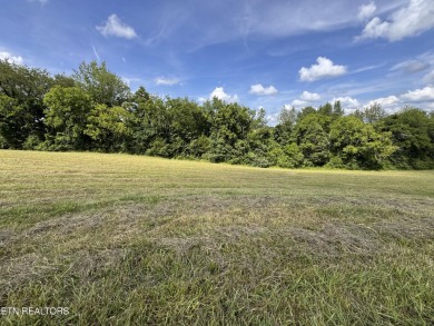2 lots being sold together totaling 2.55 acres. 9611 & 9615 on River Islands Golf Club in Tennessee - for sale on GolfHomes.com, golf home, golf lot
