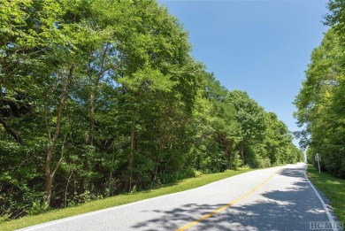 Captivating long-range views of the Blue Ridge Mountains await! on Lake Toxaway Country Club in North Carolina - for sale on GolfHomes.com, golf home, golf lot