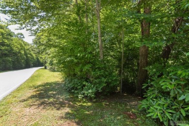 Captivating long-range views of the Blue Ridge Mountains await! on Lake Toxaway Country Club in North Carolina - for sale on GolfHomes.com, golf home, golf lot