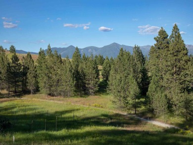 Imagine watching majestic elk, deer, hummingbirds and an on Wilderness Club in Montana - for sale on GolfHomes.com, golf home, golf lot