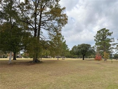 Stunning 4-Bedroom Home on Golf Course in Money Hill

Welcome on Money Hill Golf and Country Club in Louisiana - for sale on GolfHomes.com, golf home, golf lot