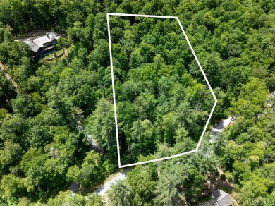 Discover the potential of this remarkable 2.43-acre lot nestled on Natures Walk At Chinquapin in North Carolina - for sale on GolfHomes.com, golf home, golf lot