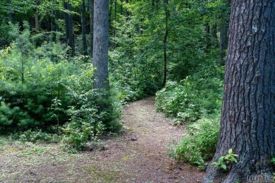 Discover the potential of this remarkable 2.43-acre lot nestled on Natures Walk At Chinquapin in North Carolina - for sale on GolfHomes.com, golf home, golf lot