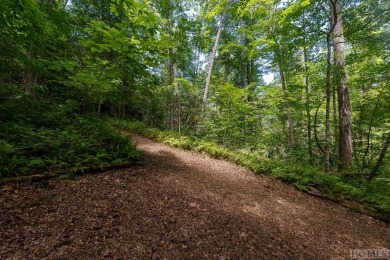 Discover the potential of this remarkable 2.43-acre lot nestled on Natures Walk At Chinquapin in North Carolina - for sale on GolfHomes.com, golf home, golf lot