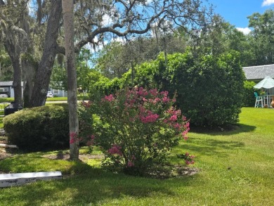 One or more photo(s) has been virtually staged. Carefree Living on Seven Springs Golf and Country Club in Florida - for sale on GolfHomes.com, golf home, golf lot