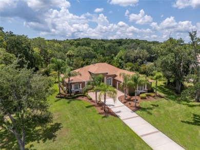 Beautiful Custom Built Skyway Home in Pristine Condition. Ready on Grand Haven Golf Club in Florida - for sale on GolfHomes.com, golf home, golf lot