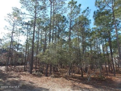 If you have been waiting for the perfect lot..it has arrived.

 on Members Club At St. James Plantation in North Carolina - for sale on GolfHomes.com, golf home, golf lot