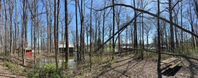 A Rare Opportunity to Own a Lakeside Retreat with Endless on Hoosier Links Golf Club in Indiana - for sale on GolfHomes.com, golf home, golf lot