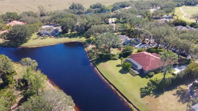 Experience the Best of Florida Living in This Stunning on Serenoa Golf Club in Florida - for sale on GolfHomes.com, golf home, golf lot