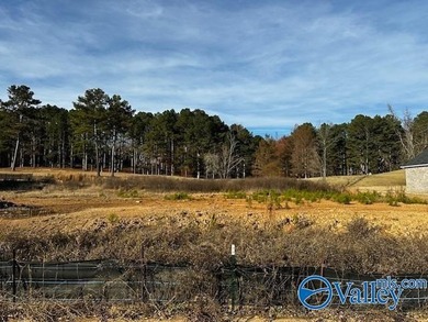 Gorgeous Lot in The Cove of Cherokee Ridge! Vacant and ready to on Cherokee Ridge Country Club in Alabama - for sale on GolfHomes.com, golf home, golf lot