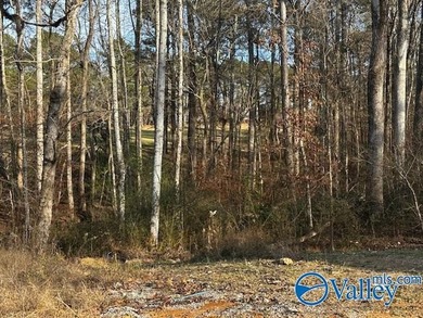 Gorgeous, cleared lot with a backyard view overlooking Fairway on Cherokee Ridge Country Club in Alabama - for sale on GolfHomes.com, golf home, golf lot