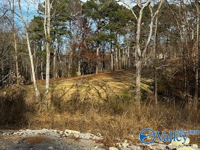 Gorgeous, cleared lot with a backyard view overlooking Fairway on Cherokee Ridge Country Club in Alabama - for sale on GolfHomes.com, golf home, golf lot