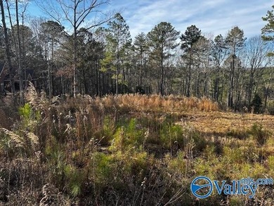 Golf Course Lot, ready to build your dream home.  This gorgeous on Cherokee Ridge Country Club in Alabama - for sale on GolfHomes.com, golf home, golf lot